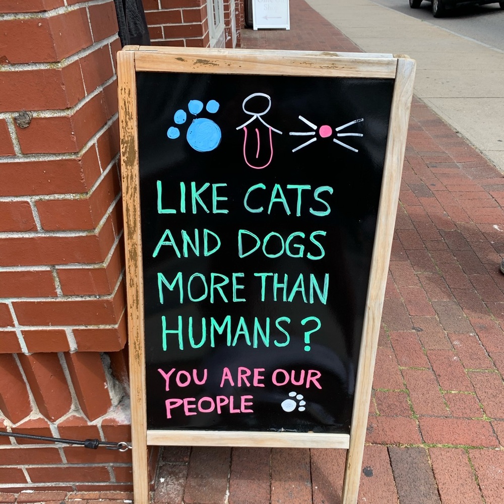 Happy Holiday Season Everyone! Thank you for the follows! - Picture 4 of 16